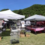 JeepFest2026_ (58)